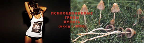MESCALINE Абаза