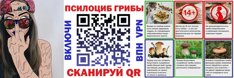 Галлюциногенные грибы Psilocybine cubensis  Чита 